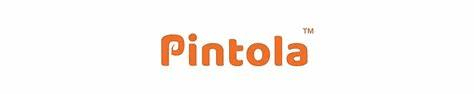 Pintola Marketing Strategy – How an Indian Peanut Butter Brand Became a ₹500 Crore Nutrition Powerhouse