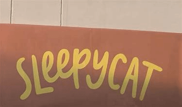 SleepyCat marketing strategy